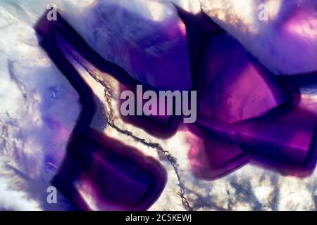 Illuminated and Colorful Purple Agate Rock Slices Stock Photo