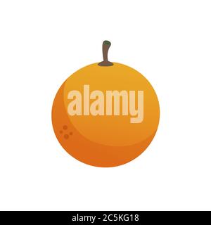Orange fruit on white background. Vector illustration in trendy flat style. EPS 10. Stock Vector