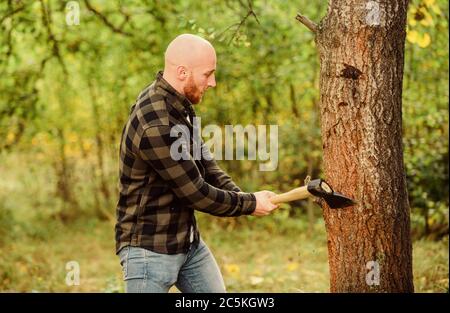 Man checkered shirt use axe. Brutal male in forest. Power and strength. Lumberjack carry ax. Bald woodsman. Harvest firewood. Hike vacation. Hike in forest. Forest care. Determination of human spirit. Stock Photo