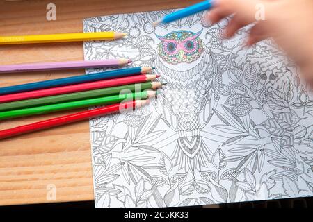 Netherlands, July th 2020, An image of a new trendy thing called adults coloring book. Stock Photo