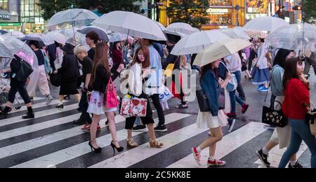 Pedestrian crowd walking across Shibuya scramble crossing during a rainy night with umbrellas, Tokyo, Japan. Stock Photo