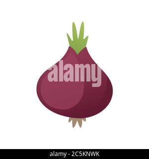 Purple onion on white background. Vector illustration in trendy flat style. EPS 10. Stock Vector