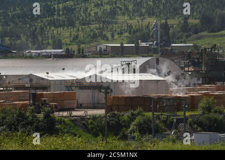 Steam escapes from drying kilns at the Tolko Industries’ Lakeview yards in Williams Lake, British Columbia, Canada. Newly milled, wet or green lumber Stock Photo