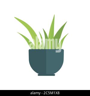 Houseplant on white background. Vector illustration in trendy flat style. EPS 10 Stock Vector