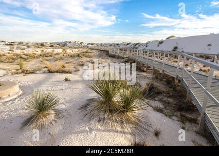 Hiking In The Desert. Boardwalk hiking trail through the White Sands National Monument in New Mexico. The park features massive gypsum sand dunes. Stock Photo