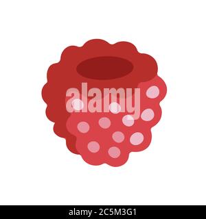 Raspberry on white background. Vector illustration in trendy flat style. EPS 10. Stock Vector