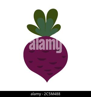 Ripe red beet on white background. Vegetarian food. Vector illustration in trendy flat style. ESP 10. Stock Vector