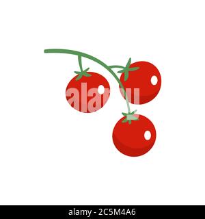 Tomato, cherie on white background. Vector illustration in trendy flat style. EPS 10. Stock Vector