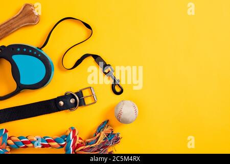 Toys -multi coloured rope, ball, leather leash and bone. Accessories for play and training on yellow background top view Stock Photo
