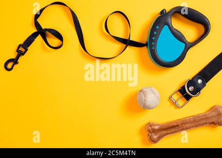 Black leather dog collar, bone, ball and blue leash attached on yellow background. Top view Stock Photo