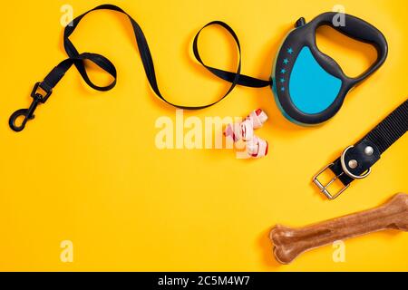 Black leather dog collar, bone and blue leash attached on yellow background. Top view Stock Photo