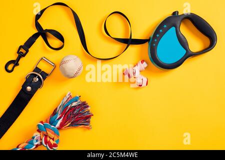 Toys -multi coloured rope, ball, leather leash and bone. Accessories for play and training on yellow background top view Stock Photo