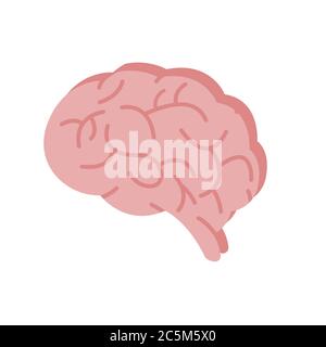 Human Brain on white background. Vector illustration in trendy flat style. EPS 10 Stock Vector