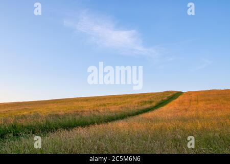 Grass hay meadow with a cut footpath opposite silbury hill at sunset. Avebury, Wiltshire, England Stock Photo