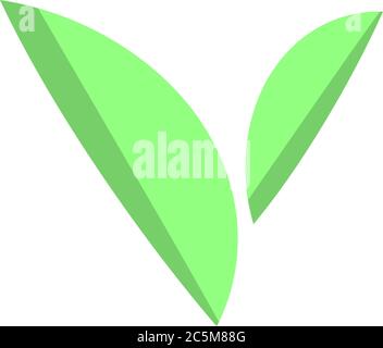 Green abstract leaf icons natural set on white background. Vector illustration. Stock Vector