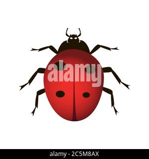Red ladybug on white background. Vector illustration in trendy flat style. EPS 10 Stock Vector