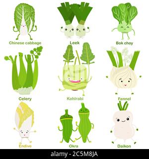 Cute vector of square shaped smiling fruit, vegetable with happy face in green color - Cabbage Leek Bokchoy Celery Kohlrabi Fennel Endive Okra Daikon. Stock Vector