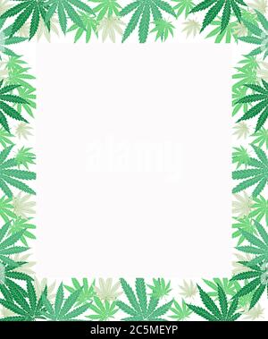 marijuana (cannabis) leaves frame on white background Stock Photo