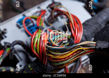 Close-up of a large cable of a coil of wires of different colors of colorful shades intertwined and connected by black insulation. Internet wiring of Stock Photo