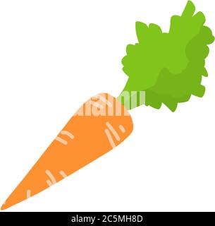 Crunchy carrot vector icon on white background. Vector illustartion. Stock Vector