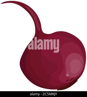 Red beet. Vector illustration. Stock Vector