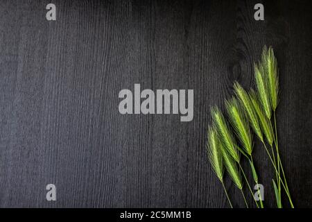Green spikelets  on the dark wood background. Green spikelets  on wood table background. Top view with copy space for the design or text Stock Photo