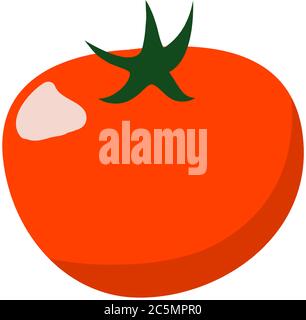 Tomato fresh vegetable vector concept. Healthy diet flat style illustration. Isolated green food, can be used in restaurant menu, cooking books and Stock Vector