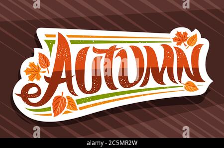 Vector banner for Autumn season, white logo with curly calligraphic font, decorative autumn leaves and confetti, greeting card with swirly unique lett Stock Vector