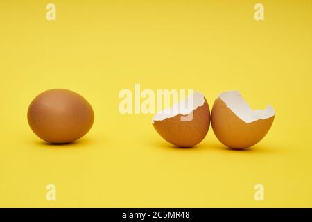 Chicken eggs whole and parts. Half an egg, egg yolk, shell. Stock Photo