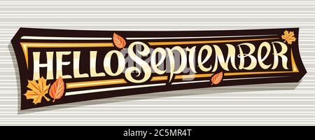 Vector lettering Hello September, black label with curly calligraphic font, autumn leaves and decorative art stripes, voucher with swirly unique lette Stock Vector