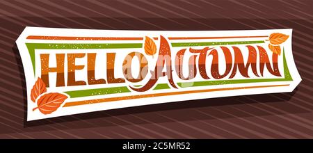 Vector lettering Hello Autumn, white label with curly calligraphic font, decorative autumn leaves and confetti, greeting card with swirly unique lette Stock Vector