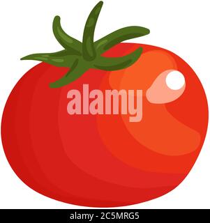 Tomato fresh vegetable vector concept. Healthy diet flat style illustration. Stock Vector