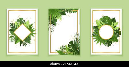 Botanical banners set with tropical leaves. Vector illustration Stock Vector