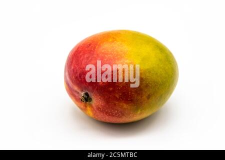 Mango fruit isolated on white background. One ripe mango fruit isolated. Healthy one whole fresh big ripe red mango fruit for the diet meal Stock Photo