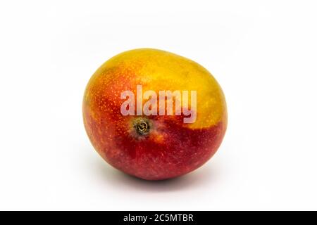 Mango fruit isolated on white background. One ripe mango fruit isolated. Healthy one whole fresh big ripe red mango fruit for the diet meal Stock Photo