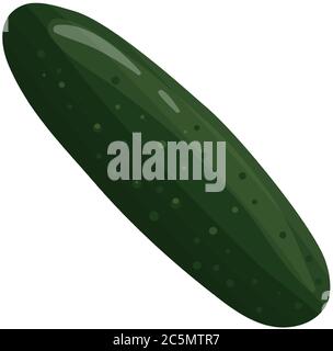 Fresh cucumber vegetable isolated icon. Vector illustration in flat style. Stock Vector