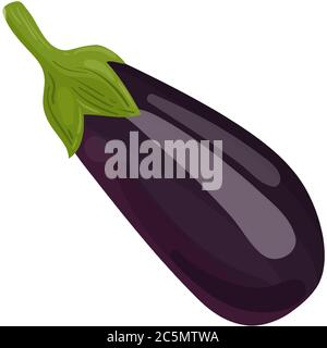 Eggplant. Modern Simple Vector For Web Site Or Mobile App. Vector image. Stock Vector