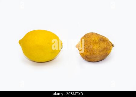 Fresh lemon with spoiled and dry lemon isolated on white background. Dried and fresh lemon against background. Concept before and after Stock Photo