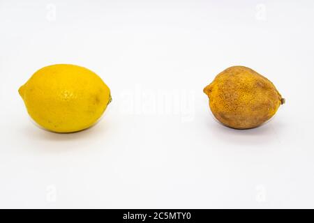 Fresh lemon with spoiled and dry lemon isolated on white background. Dried and fresh lemon against background. Concept before and after Stock Photo