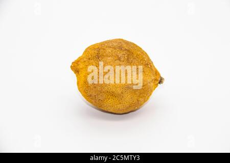 Spoiled and dry lemon isolated on white background. Dried lemon against background Stock Photo