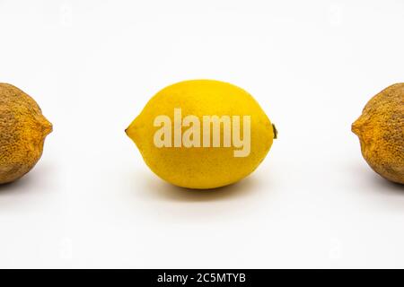 Fresh lemon with two part of spoiled and dry lemons isolated on white background. Dried and fresh lemons against background. Concept before and after Stock Photo