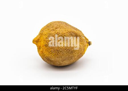 Spoiled and dry lemon isolated on white background. Dried lemon against background Stock Photo