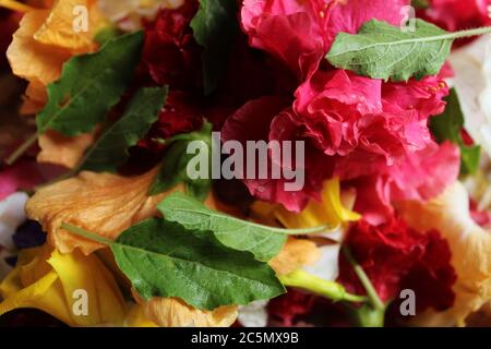 Beautiful and colorful floral background with various type of flowers together, selective focus. Stock Photo