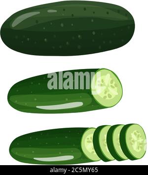 Fresh cucumber vegetable isolated icon. Vector illustration in flat style. Stock Vector