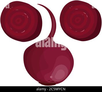 Red beet, single and half. Vector illustration. Stock Vector