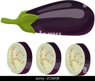Eggplant. Modern Simple Vector For Web Site Or Mobile App. Vector image. Stock Vector