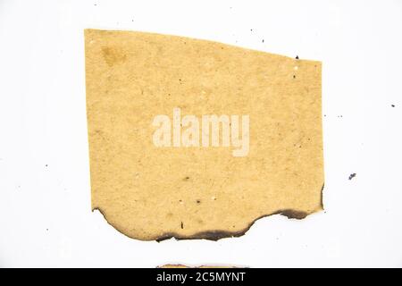 Burnt Pieces of Vintage Paper can be used in design. Old paper with burnt edges on white background. Stock Photo
