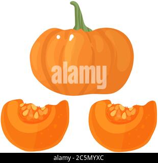 Orange pumpkin vector illustration. Autumn halloween pumpkin, vegetable graphic icon or print, isolated on white background. Stock Vector