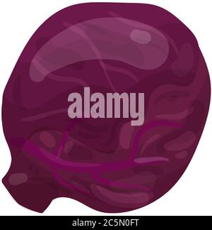 Purple Cabbage isolated on white background. Vector illustration. Stock Vector