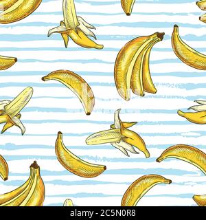 Tropical seamless pattern with yellow bananas on blue white watercolor stripes background. Vector hand drawn sketch illustration. Summer design for fa Stock Vector